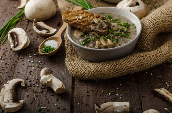 Sopa de cogumelos — Fotografia de Stock