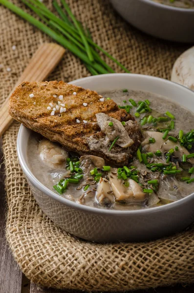 Mushroom soup — Stock Image Mushroom soup Royalty Free Stock Photos