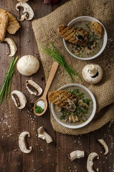 Mushroom soup — Stock Image Mushroom soup Stock Picture