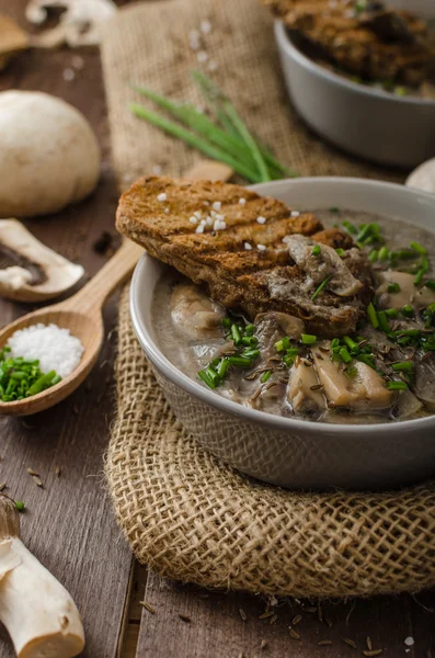 Mushroom soup — Stock Image Mushroom soup Stock Photo