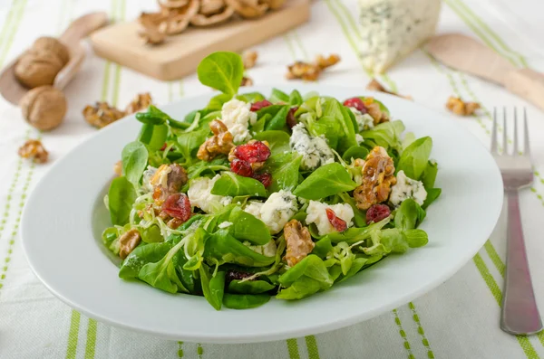 Insalata con formaggio blu e condimento balsamico — Foto Stock