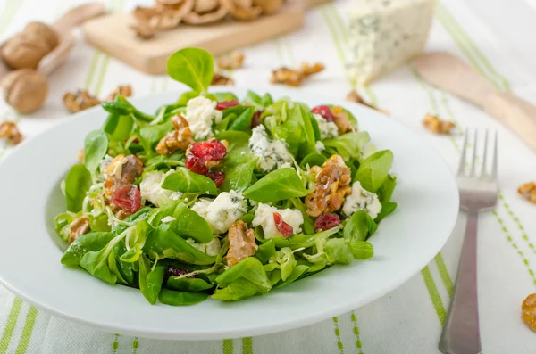 Salad with blue cheese and balsamic dressing — Stock Photo, Image