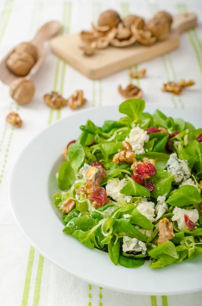 Salad with blue cheese and balsamic dressing — Stock Photo, Image