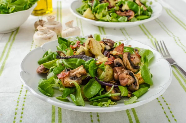 Salad with new potatoes and blue cheese — Stock Photo, Image