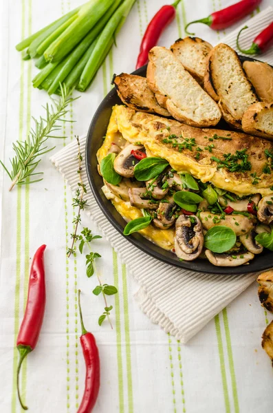 Omelet met champignons, lammeren sla, kruiden en Spaanse peper — Stockfoto