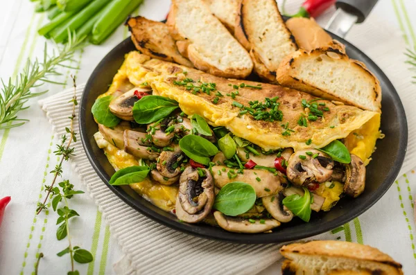 煎蛋卷，用蘑菇，羔羊生菜、 草药和辣椒 — 图库照片