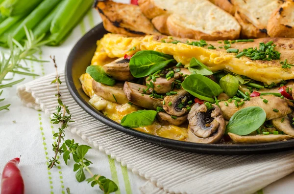 Omelet met champignons, lammeren sla, kruiden en Spaanse peper — Stockfoto