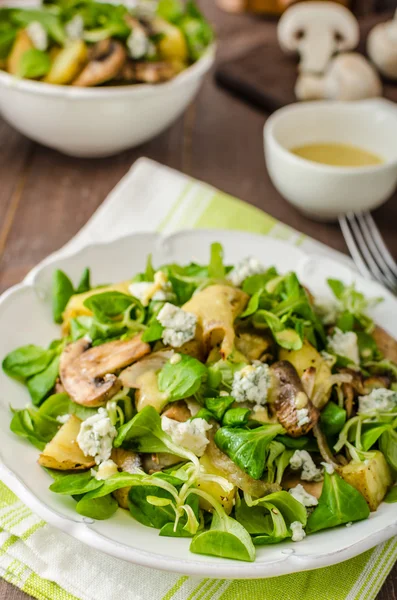 Fresh salad with vegetable and blue cheese — Stock Photo, Image
