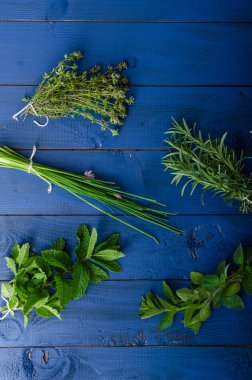 Organik bahçe taze otlar