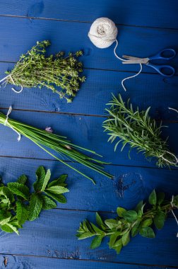 Organik bahçe taze otlar