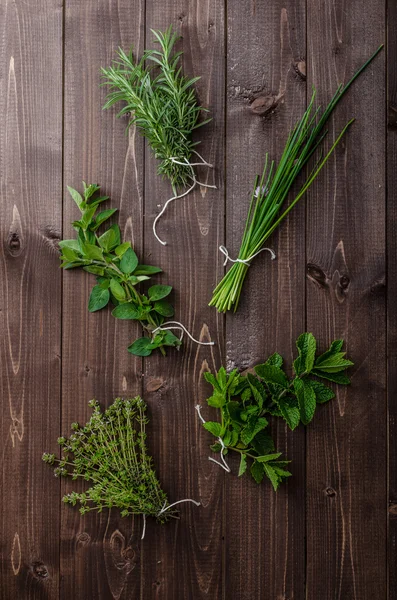 Frische Kräuter aus dem Bio-Garten — Stockfoto