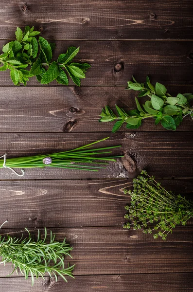Fresh herbs from the organic garden — Stock Photo, Image