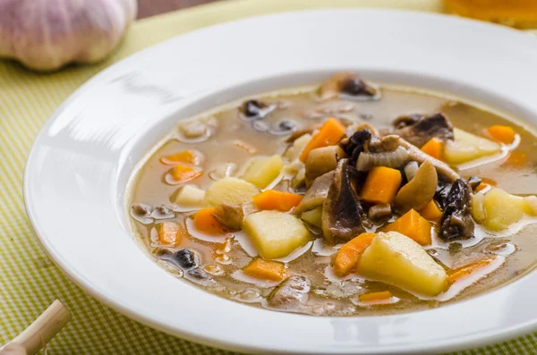 Soupe de pommes de terre maison honnête — Photo