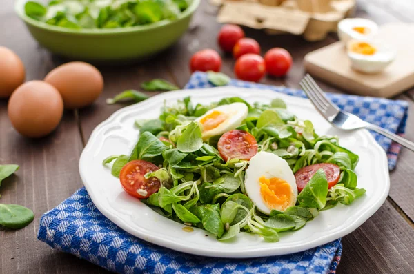 Lammeren sla salade, hardgekookte eieren — Stockfoto