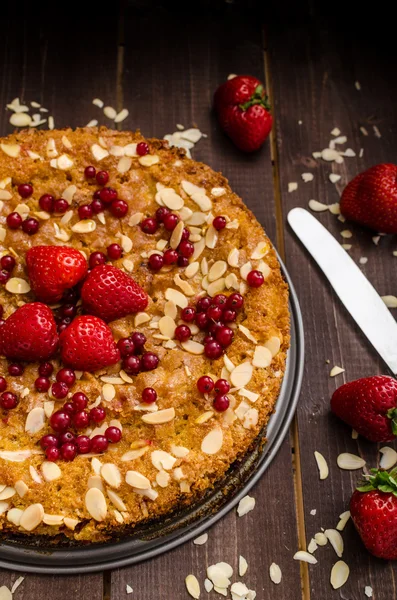 Gâteau de polenta fait maison — Photo