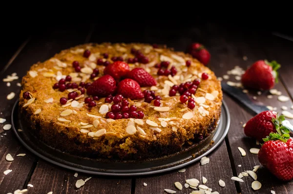 Gâteau de polenta fait maison — Photo