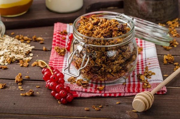 Granola doméstica, comer limpio — Foto de Stock