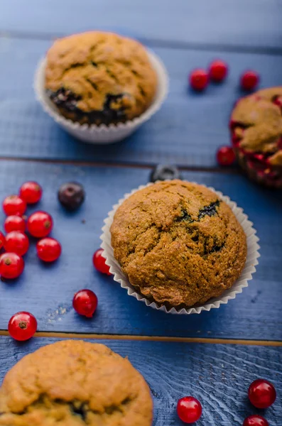 Hemgjord friska muffins med frukt — Stockfoto