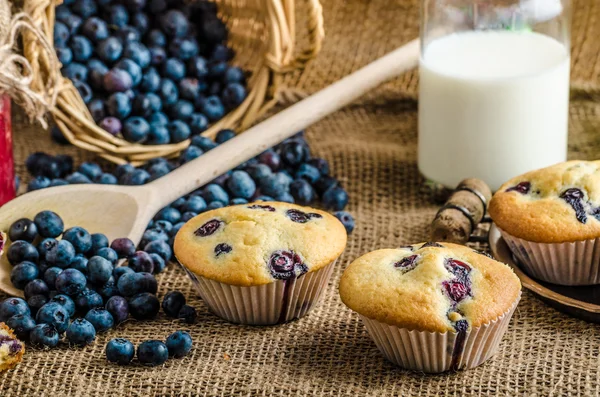 Blueberry muffins Stock Image