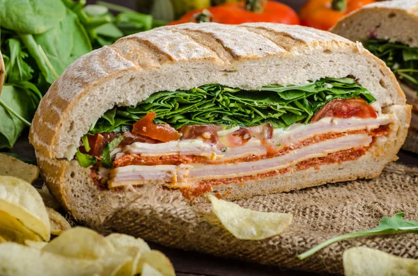 Ιταλική πιεσμένα σάντουιτς — Φωτογραφία Αρχείου