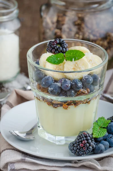 Vanillepudding mit Beeren — Stockfoto