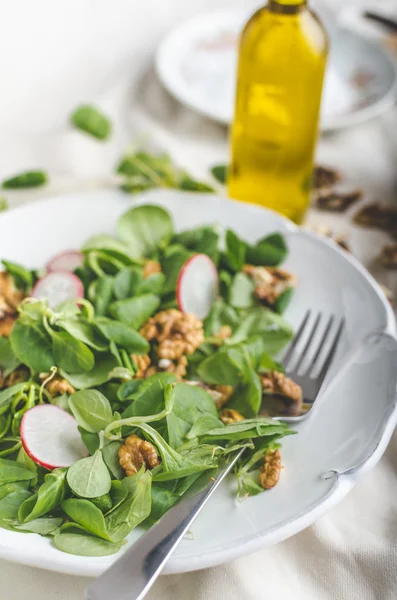 Insalata di lattuga di agnelli con noci e ravanello — Foto Stock