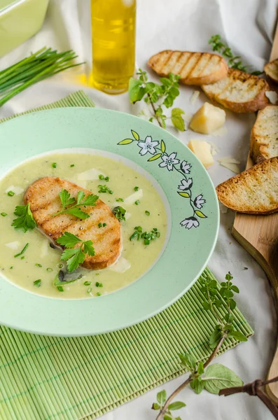 Cremosa sopa de puerro herby con tostadas — Foto de Stock