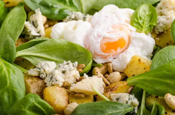 Spinach salad with egg benedict — Stock Photo, Image