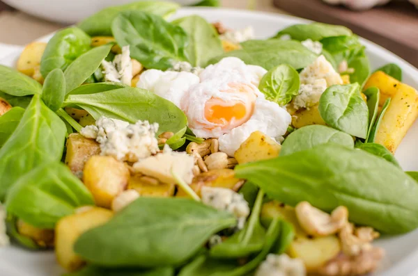 Salada de espinafre com bendito ovo — Fotografia de Stock