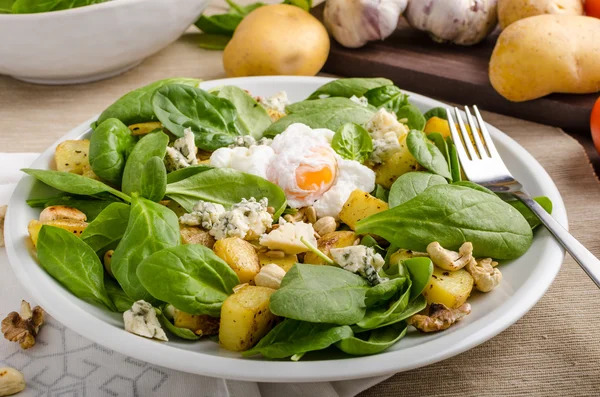 Insalata di spinaci con benedizione all'uovo — Foto Stock