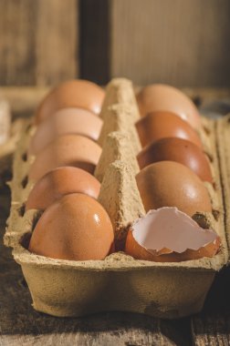Yurtiçi organik yumurta