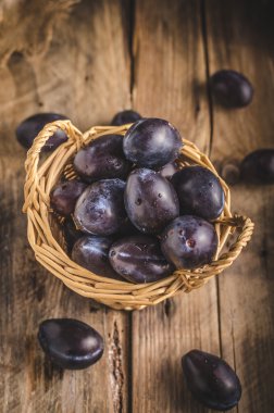 Taze çekilmiş ve yıkanmış Erik