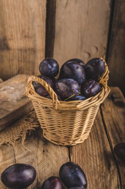 Taze çekilmiş ve yıkanmış Erik