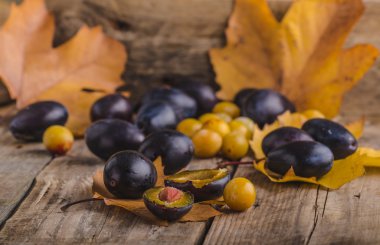 Taze çekilmiş ve yıkanmış Erik