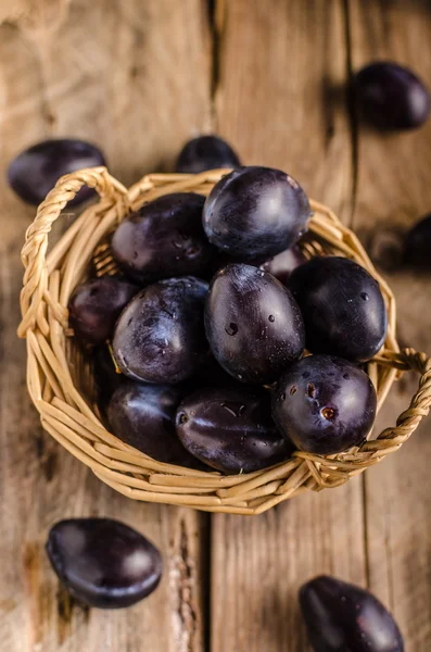 Frisch gepflückte und gewaschene Zwetschgen — Stockfoto