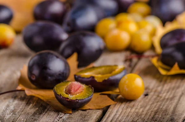 Prunes fraîchement cueillies et lavées — Photo