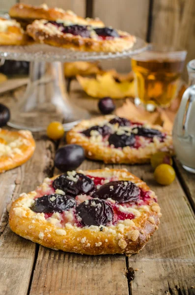 Torta tradizionale ceca con prugne e prugne — Foto Stock