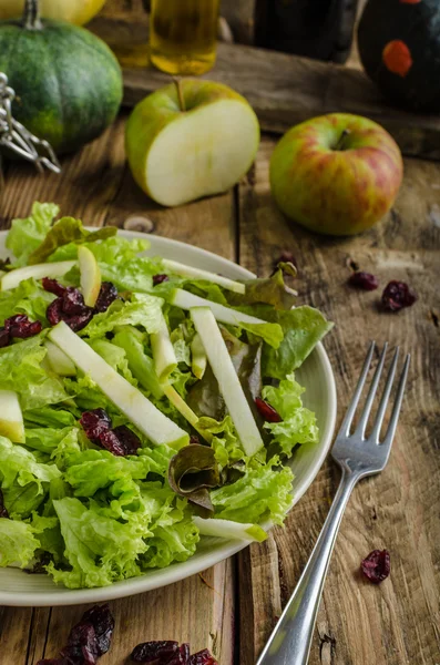 Waldort salad — Stock Photo, Image