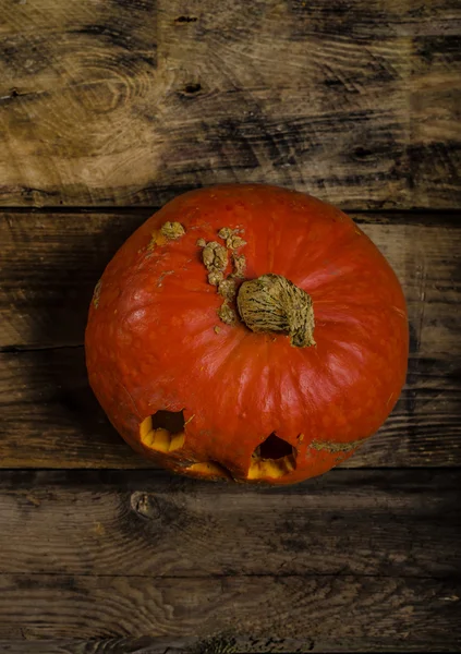 Calabaza de Halloween —  Fotos de Stock