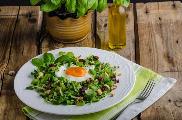 Fındık, Kuru üzüm ve kızarmış yumurta taze salata — Stok fotoğraf