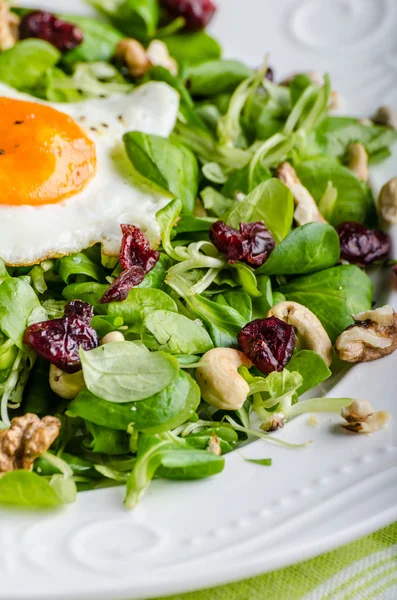 Verse salade met gebakken ei, noten en rozijnen — Stockfoto