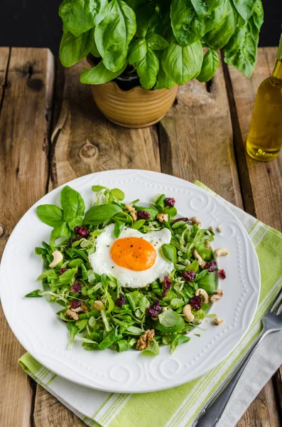 Salada fresca com nozes, passas e ovo frito — Fotografia de Stock