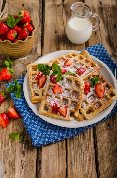 Özgün Belçika waffle — Stok fotoğraf