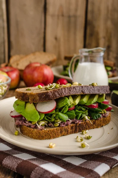 Chipotle-Aguacate Verano Sandwich receta — Foto de Stock