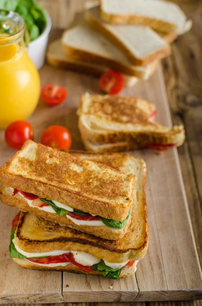 Delizioso sandwich italiano — Foto Stock