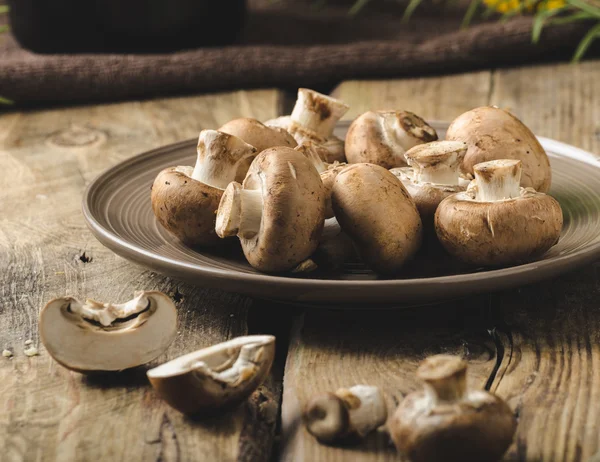 Funghi biologici fatti in casa — Foto Stock