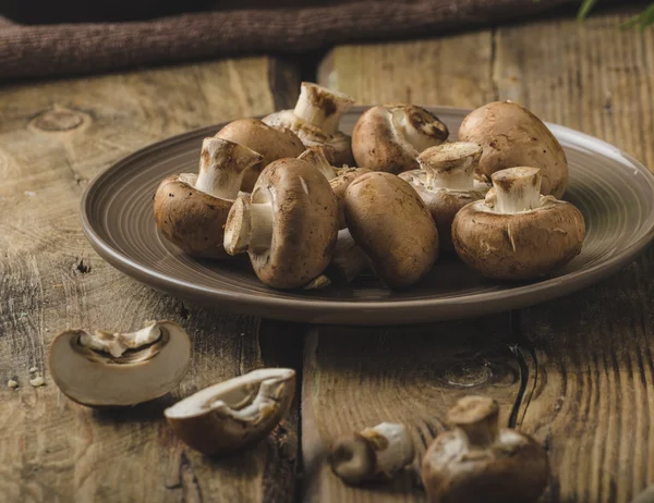 Setas orgánicas caseras — Foto de Stock