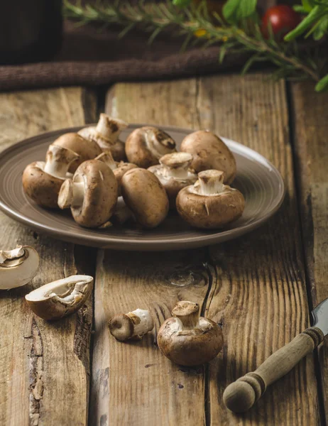 Cogumelos orgânicos caseiros — Fotografia de Stock