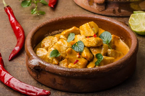 Heerlijke kip curry — Stockfoto
