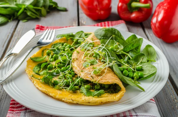 Egg omelette with herbs — Stock Photo, Image